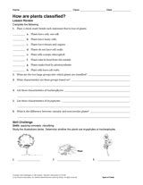 7th Grade Biological Classification Worksheets Worksheets Library