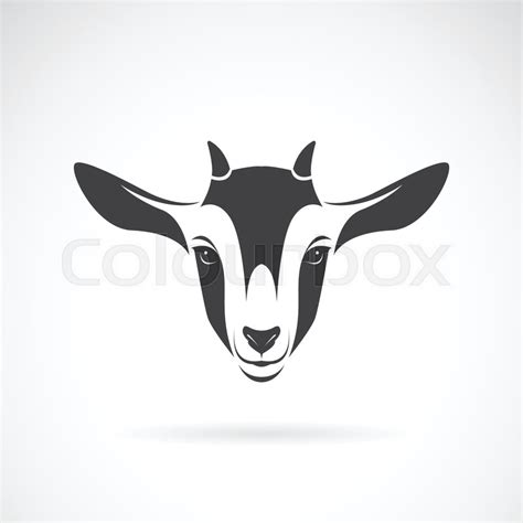 Vector of goat head design on a white ... | Stock vector | Colourbox