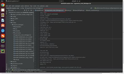 Pycharm中train py的参数利用config txt轻松设置省去单条添加的繁琐 pycharm进行python