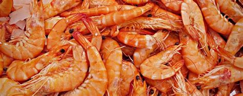 Diferencia Entre Gambas Y Langostinos Mogador