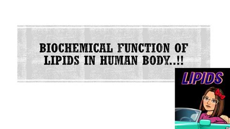 SOLUTION: Function of lipids in human body - Studypool