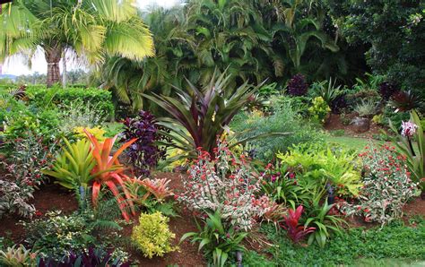 Transform Your Ordinary Yard Into A Flowering Tropical Oasis With Easy