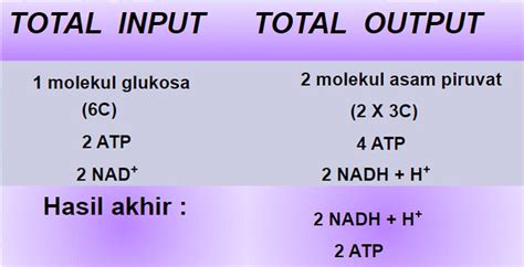 Glikolisis dalam Respirasi Anaerob, Apa Ini? - Kelas Pintar