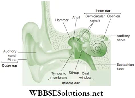 Neet Foundation Notes For Physics Chapter Sound Wbbse Solutions