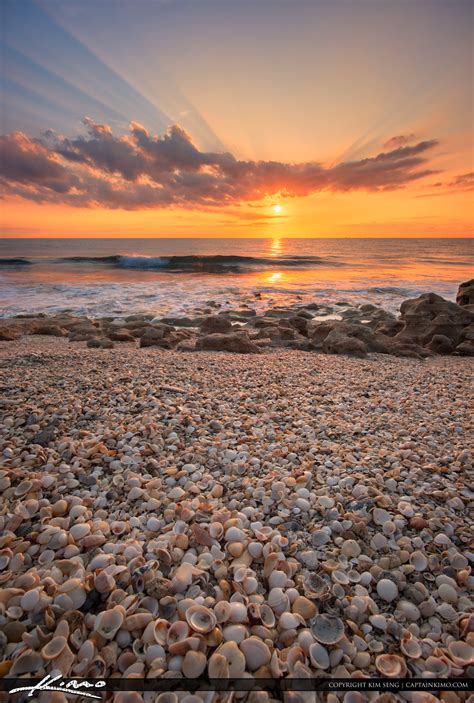 Seashells And Sunrays Over Beach At Coral Cove Park Hdr Photography By Captain Kimo