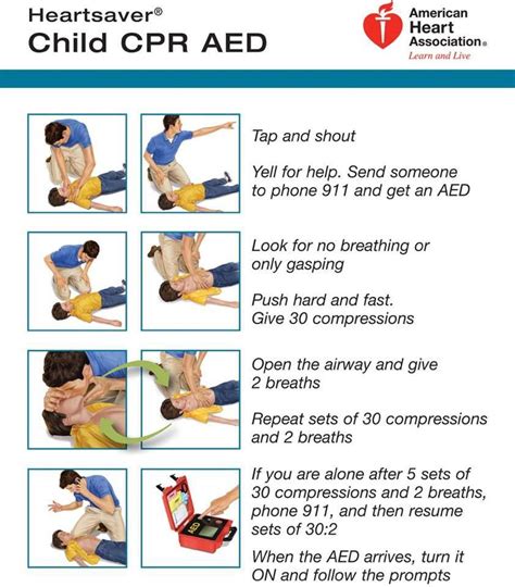 Child And Baby Cpr