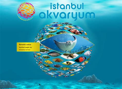 Istambul Aquarium Tour - Turkey Tour Booking - Reserve Today