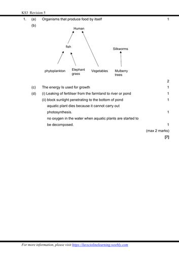 Revision 5 Exam Style Questions Ks3 Year 9 Igcse Teaching Resources