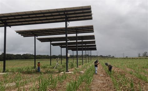 Projeto Inovador Da Ufal Transforma Energia Solar Em Impulso Para A