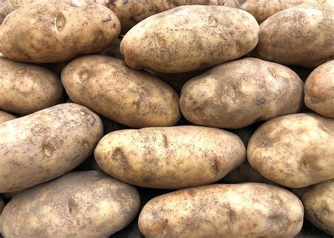 How Much Does A Bushel Of Potatoes Weigh