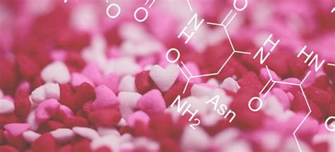 Oxytocin The Love Hormone Benefits How To Increase Levels