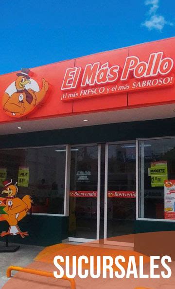 Inicio El M S Pollo