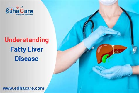 Understanding Fatty Liver Disease Healthcare Blogs Get Medical Updates With Edhacare