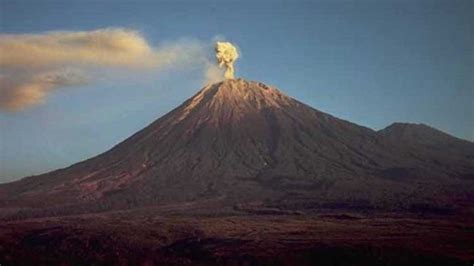 Masih Ada Korban Hilang Masa Tanggap Darurat Bencana Gunung Semeru