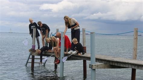 Udsatte Familier Holdt Ferie I Den Nordlige Ende Af Langeland