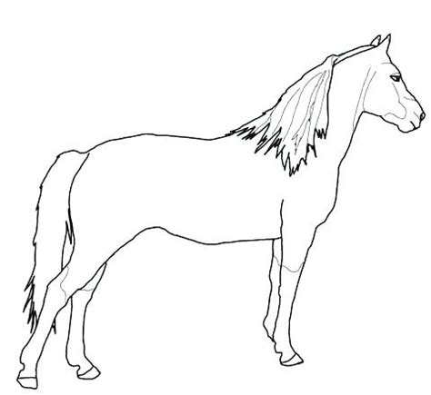 Quarter Horse Coloring Pages at GetColorings.com | Free printable ...