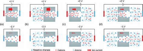 Schematic Illustration Of The Ion Transport Properties Of The