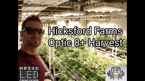 Hicksford Farms - Oklahoma Commercial Cannabis Grow Facility - Optic 8