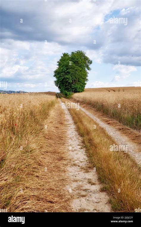 Countryside Farmland And Forest Close To Lyon France A Series Of