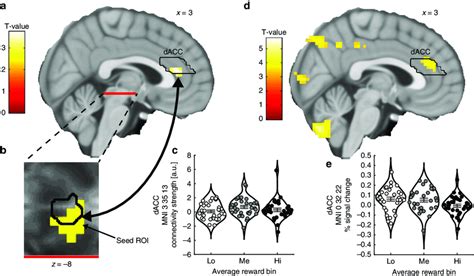 Vta Dacc Functional Connectivity And Dacc Bold Signal As A Function Of Download Scientific