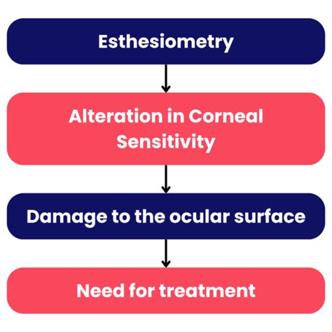 Corneal Esthesiometer Brill Us Brill Us