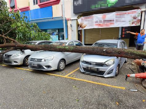 Lima Kenderaan Rosak Dihempap Pokok Tumbang Akibat Ribut Selangorkini