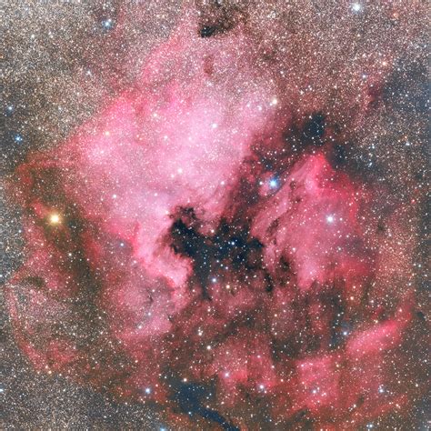 Ngc The North America Nebula The Planetary Society