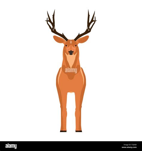 Deer Front View Vector Symbol Head Mammal Flat Reindeer Concept Stock