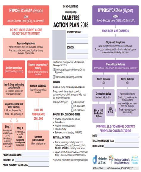 14 Diabetes Action Plan Templates Pdf Word