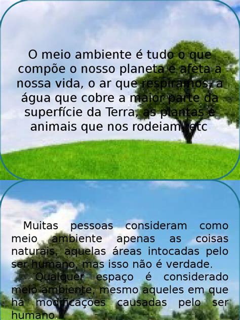 Conceito e Importância do Meio Ambiente | PDF | Ambiente natural ...