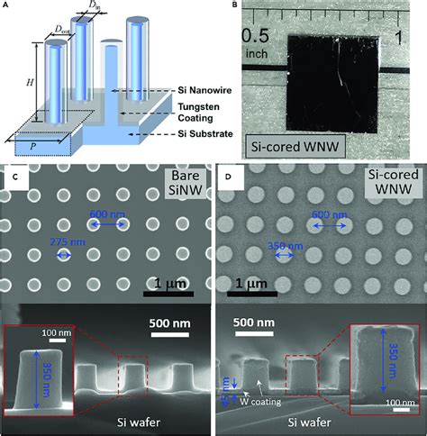 Schematic Photograph And SEM Images A Structural Schematic Of