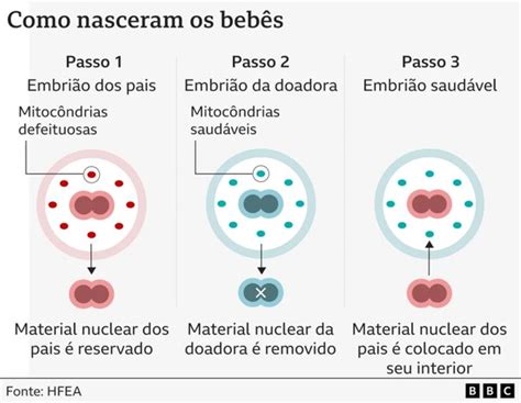 Dna Antes De Nascer - Os bebês com DNA de 3 'pais' nascidos sem doença hereditária