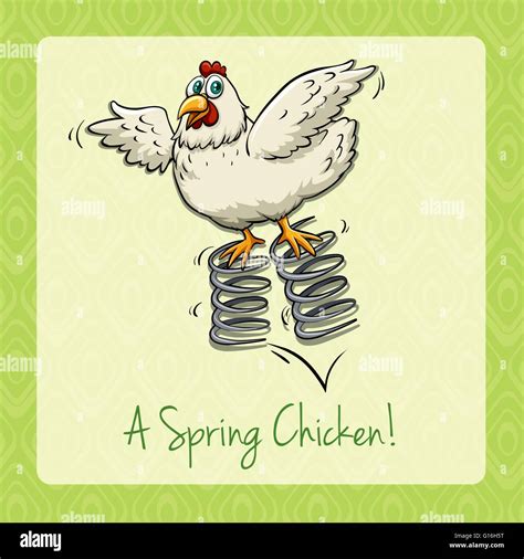 English Idiom Spring Chicken Illustration Stock Vector Image And Art Alamy