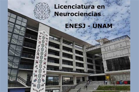 Licenciatura en Neurociencias Explorando el cerebro en Querétaro