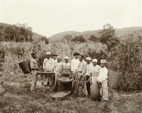 A Luta Esquecida Dos Negros Pelo Fim Da Escravidão Bbc Brasil