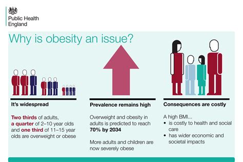 Childhood Obesity Applying All Our Health Govuk