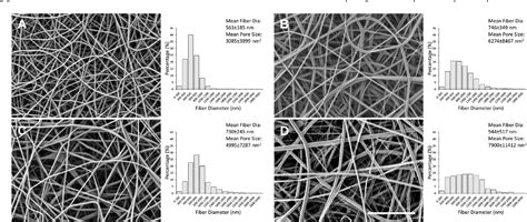 Figure From Application Of Noggin Coated Electrospun Scaffold In