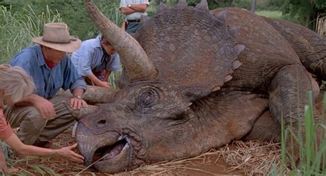 Triceratops Jurassic Park The Lost World Jurassic Park 3