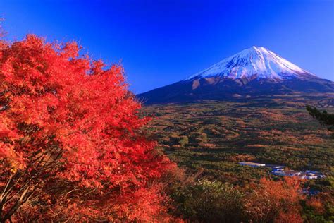 紅葉台 ～日本の絶景を世界へ～ Zekkei Japan