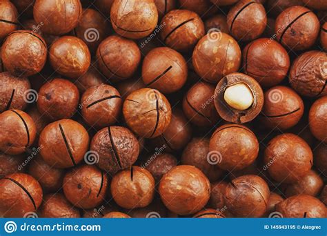 La Textura De La Fruta Natural Fresca Org Nica De La Nuez De Macadamia