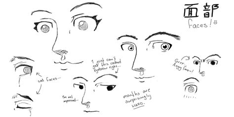 Faces Practice By Ciellon On Deviantart