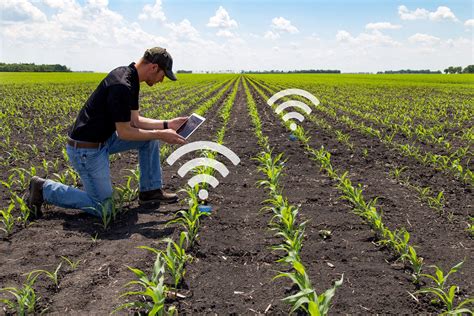 O Que Agricultura De Precis O Os Apps Para O O Dia A Dia Rural