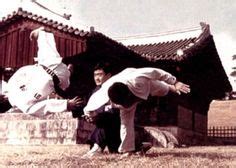 46 Idee Su Hwarang Art Guerrieri Hapkido Arte Coreana