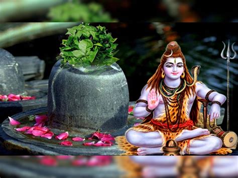 Mahashivratri 2023 Know Who Had Offered Belpatra To Lord Shiva Dharm