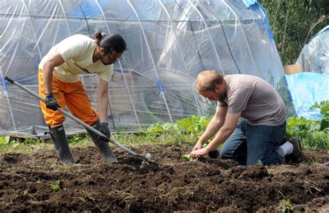 Organic farming techniques are closing gap on conventional yields