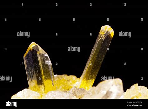 Yellow Fishtail Gypsum Crystal Cluster Macro Image Of Geological