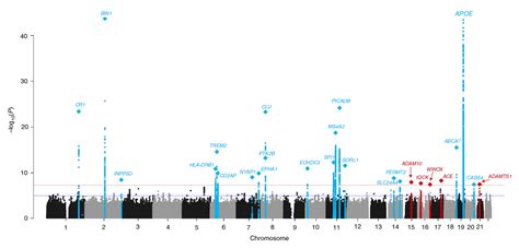 Data sharing uncovers five new risk genes for Alzheimer's disease ...