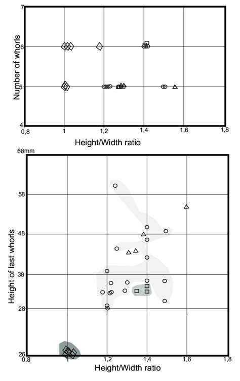 Plotted Ratios Derived From Measurements Of Shell Height H Shell