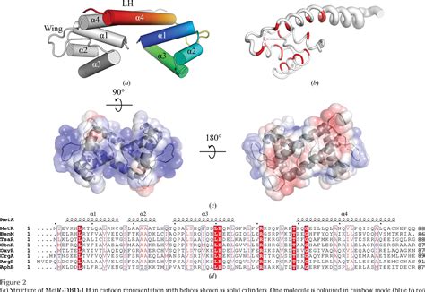 Figure From Structural Basis For Dna Recognition By The Transcription