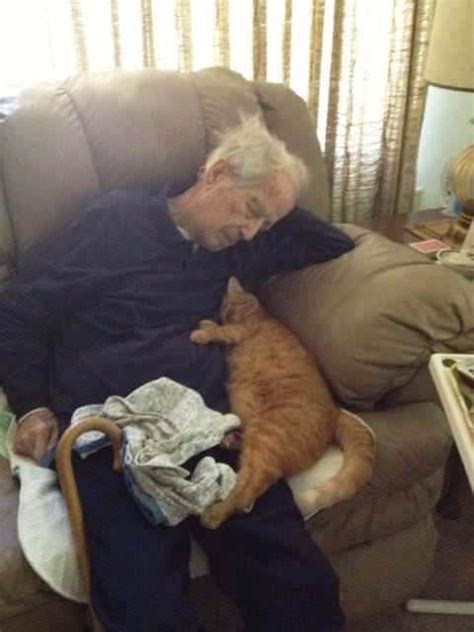 An Old Man Laying On Top Of A Couch Next To A Cat